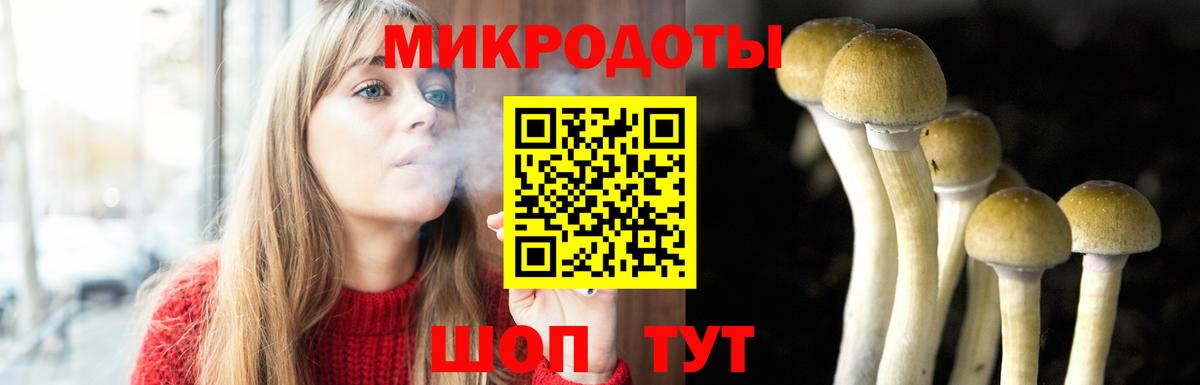 Галлюциногенные грибы Magic Shrooms  где купить наркотик  Белогорск  Вход с VPN 